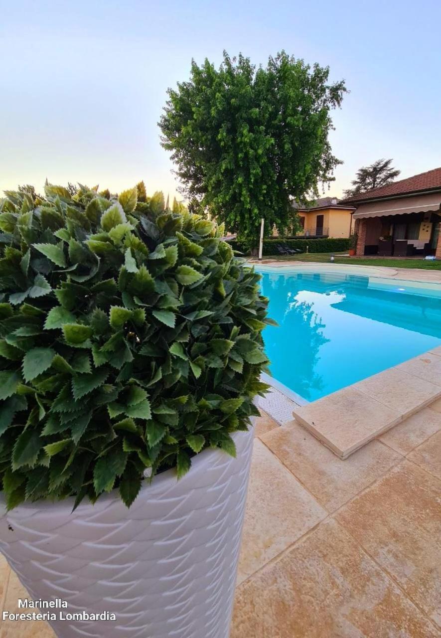 Marinella B&B Cornale Εξωτερικό φωτογραφία