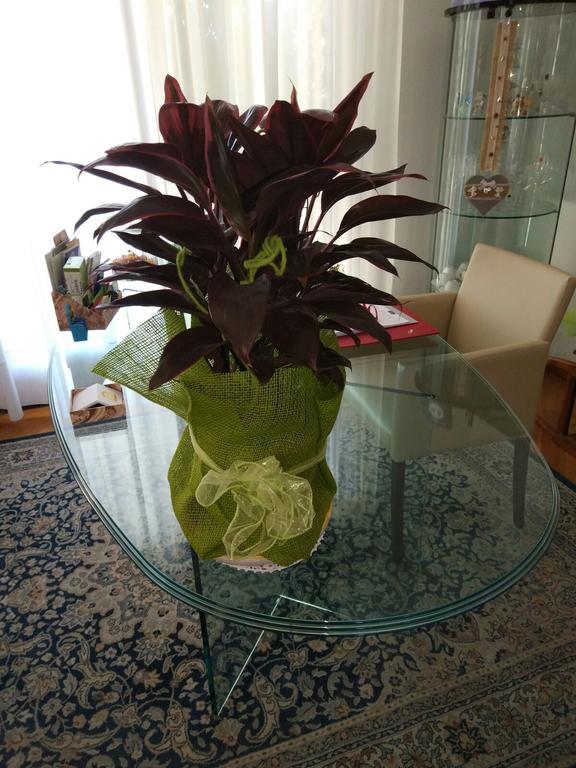Marinella B&B Cornale Εξωτερικό φωτογραφία